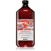 Davines Natural Tech Energizing Shampoo 1000 Ml