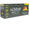 Schesir After Dark Bouillon Variatie-Pack 12 x 80 gr
