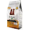 3kg Schesir Medium Adult poulet pour chien