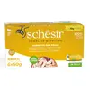 Schesir Cat Thon et filet de poulet (1 x 300 g)