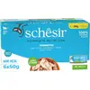 6x50g Schesir Small en gelée thon - Pâtée pour chat