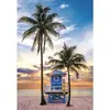 Clementoni Floride, Miami Beach 35574
