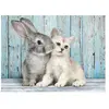 Clementoni chat et lapin (500 pièces)