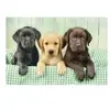Puzzle 1000 pièces Clementoni High Quality Three Labs