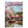 Clementoni Château De Himeji 39982