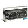 CLEMENTONI - Compact 1000 pièces Panorama - Herd of Giants