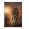Puzzle - CLEMENTONI - TIGER - 1000 pièces - 70x50 cm - Écologique - Pour adultes