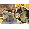 Clementoni National Geo - Wildlife Adventure-Supercolor Puzzle 27143