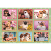 Clementoni PZL 180 SUPER NOLI PUPPIES COLLAGE =2024=