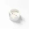 Support de lampe FAI g13 t8 9264
