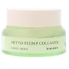 Mizon - Phyto Plump Collagen Night Cream - 50ml