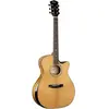 CORT COGOEDGELENC Folkgitaar, GOLD EDGE, natuur, voorversterker, Koffe...