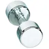 Gymstick Chrome Haltéres (1épiéce) (Taille unique) Silber