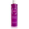 Lumene, Shampoing, Shampooing Volumateur et Raffermissant Nordic Volum...