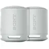 Sony SRS-XB100 Lot de 2 Gris