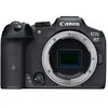 Canon EOS R7 + RF 200-800mm F/6.3-9 IS USM