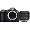 Canon EOS R6 Mark II + Canon RF 35 mm f/1.8 Macro IS STM