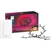 Philips Hue Festavia Guirlande Lumineuse - 20 mètres - 250 LED + Phil