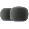 Google Home Speaker Gris Lot de 2 
