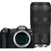 Canon EOS R8 + RF 100-400 f/5.6-8 IS USM 