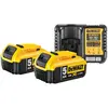 DeWalt DCB184-XJ 18 V 5,0 Ah Batterie (2x) + XR Multivoltage