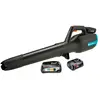 Gardena PowerJet 18 V P4A Batterie 2,5 Ah (2x) Kit de Démarrage