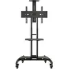 ERGOSOLID Pied à roulettes TV North Bayou AVA-1500-60