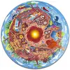 Hape E1637 Puzzle