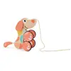 Hape Chien À Tirer Puppy Bois Et Corail - Orange