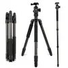 FOTOPRO X-go Plus trépied carbone noir