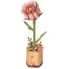 Robotime Puzzle 3D en bois Rowood Rosier rose