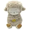 Peluche SZSMART HXXY01 Loutre de rivière avec lumière respiratoire pou...