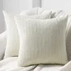 FUIENKO Housse Coussin 45x45 en Velours Côtelé avec Fermeture Eclair Caché pour Décoration Coussin Salon,Beige Blanc,Lot de 2