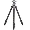 Benro Trepied photo carbone tortoise 14c+gx25 - ttor14cgx25