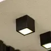 LUTEC - Gemini plafondlamp voor buiten - LED - Zwart