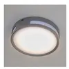 LUTEC Rola - Wand en plafondlamp - Donkergrijs