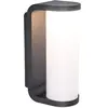 LUTEC Adalyn - Buitenverlichting LED Wandlamp - Donkergrijs