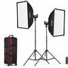 Godox Kit 2 Torches LED SL100D