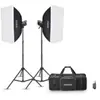Godox MS200V-F Kit flash 2 torches 200Ws