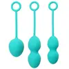 SVAKOM - Nova Kegel Training Set - Groen