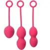 Svakom Boules de Geisha Nova (Couleur : ROSE)