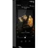 Baladeurs audiophiles Hiby RS8 II Noir