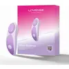 Lovense Panty vibrators - Ferri Reserve Wearable Stimulator
