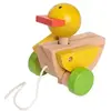 EverEarth Pull Along Duck