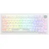 AKKO 5075B Plus Shine - Through RGB Draadloos Hotswap Mechanisch Gamin...