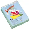 Rainex standard 250 100 chemises 24 x 32 cm vert pré 400vp