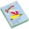 Rainex standard 250 100 chemises 24 x 32 cm canari 400ca