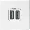 LEGRAND Prise double USB 2400 mA - 2 modules