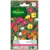 VILMORIN Pourpier a grande fleur simple varié