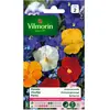 Vilmorin - Viooltje - Printania gemengd - V206